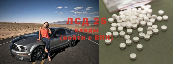 ешки Ельня