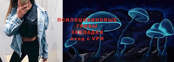 сатива Елабуга
