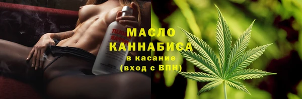 сатива Елабуга