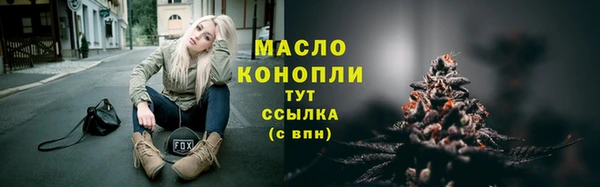 ешки Ельня