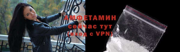 ешки Ельня