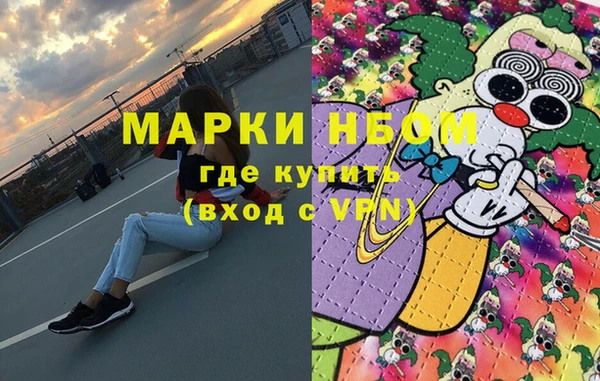 сатива Елабуга