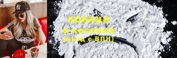 сатива Елабуга