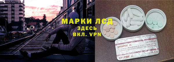ешки Ельня
