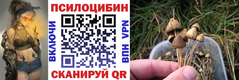 Псилоцибиновые грибы ЛСД  цена наркотик  Избербаш 